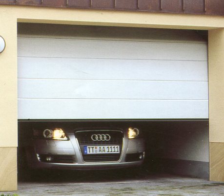 Picture of Carteck sectional garage door in White